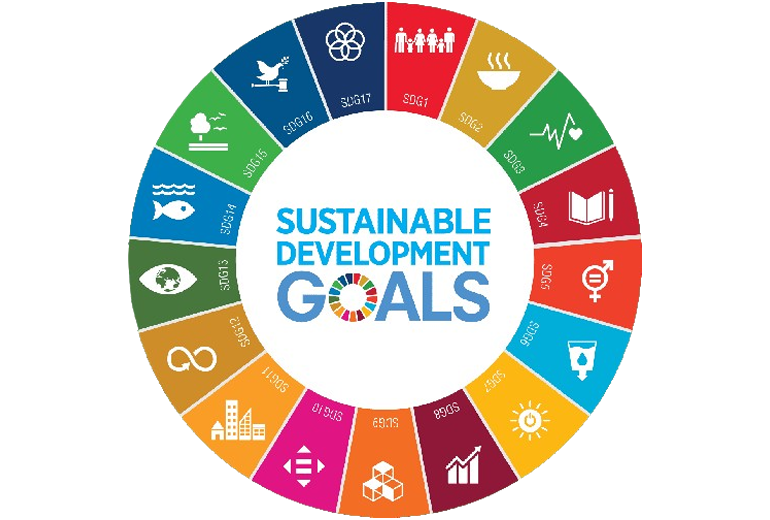 UN SDG | Fihri Foundation